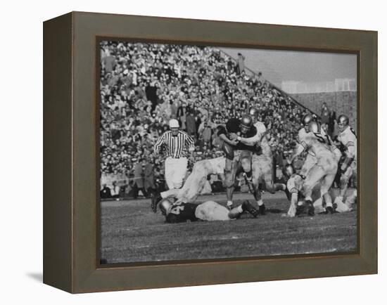 Navy Quaterback, George Welsh, Trying to Recover from Being Tackled, During Army-Navy Game-John Dominis-Framed Premier Image Canvas