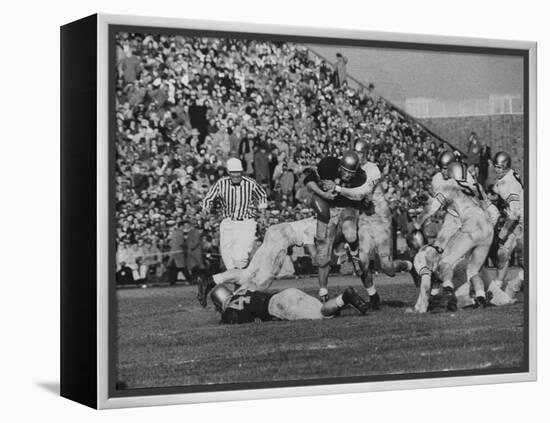 Navy Quaterback, George Welsh, Trying to Recover from Being Tackled, During Army-Navy Game-John Dominis-Framed Premier Image Canvas