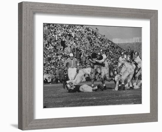 Navy Quaterback, George Welsh, Trying to Recover from Being Tackled, During Army-Navy Game-John Dominis-Framed Photographic Print