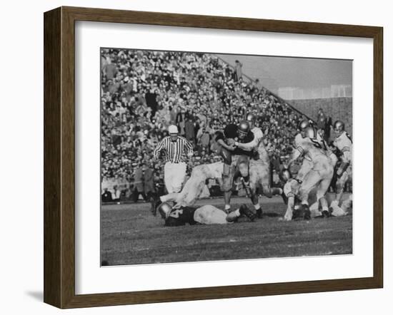 Navy Quaterback, George Welsh, Trying to Recover from Being Tackled, During Army-Navy Game-John Dominis-Framed Photographic Print