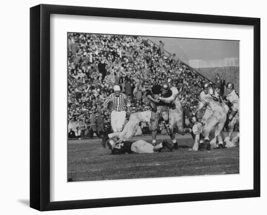 Navy Quaterback, George Welsh, Trying to Recover from Being Tackled, During Army-Navy Game-John Dominis-Framed Photographic Print