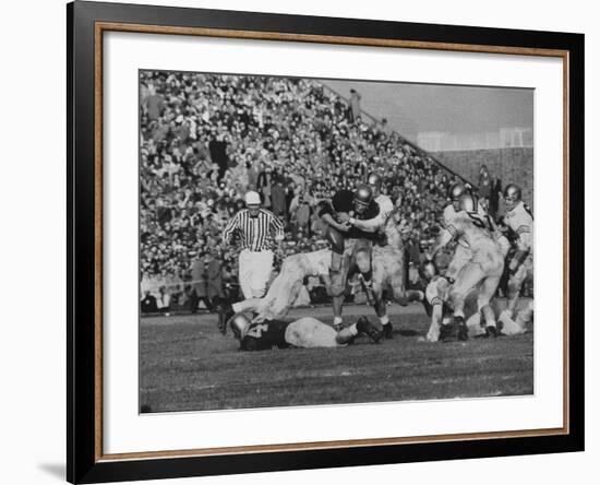 Navy Quaterback, George Welsh, Trying to Recover from Being Tackled, During Army-Navy Game-John Dominis-Framed Photographic Print