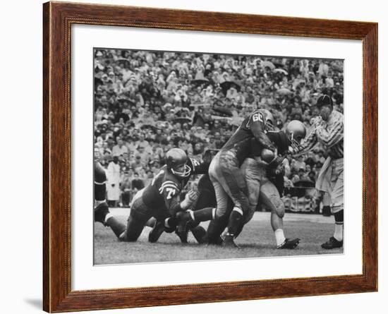 Navy's Prize Halfback Joe Bellino Dragging Tacklers in a Game Against Notre Dame-George Silk-Framed Premium Photographic Print