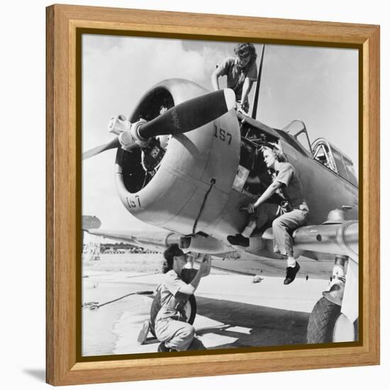 Navy Wave Aviation Machinist's Mates, Working on an North American Aviation Snj Training Plane-null-Framed Stretched Canvas