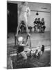 Navy Wives Playing at the Swimming Pool Together-George Strock-Mounted Premium Photographic Print