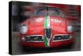 Stretched Canvas Print