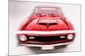 Premium Giclee Print