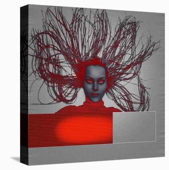 Stretched Canvas Print, , large
