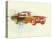 Stretched Canvas Print