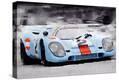 Stretched Canvas Print