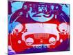Premium Giclee Print