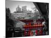Premium Giclee Print