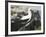 Nazca Booby-DLILLC-Framed Photographic Print