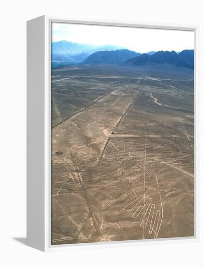 Nazca Lines-David Nunuk-Framed Premier Image Canvas