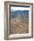 Nazca Lines-David Nunuk-Framed Photographic Print