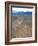 Nazca Lines-David Nunuk-Framed Photographic Print