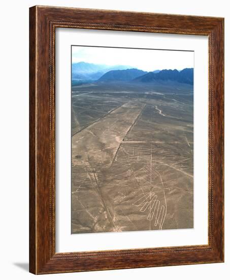 Nazca Lines-David Nunuk-Framed Photographic Print