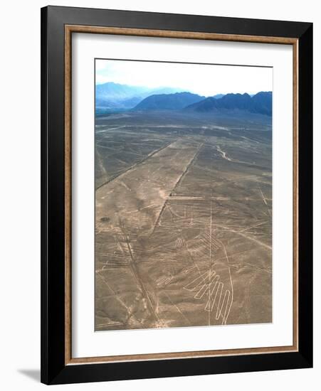 Nazca Lines-David Nunuk-Framed Photographic Print