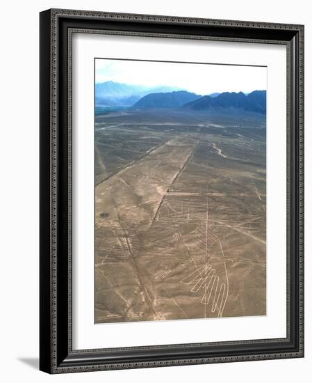 Nazca Lines-David Nunuk-Framed Photographic Print