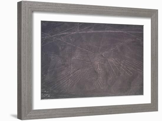 Nazca Lines-David Nunuk-Framed Photographic Print