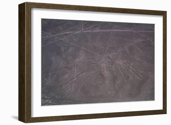 Nazca Lines-David Nunuk-Framed Photographic Print