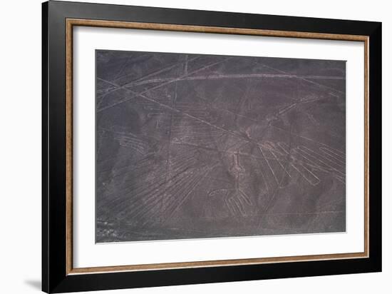 Nazca Lines-David Nunuk-Framed Photographic Print