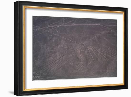 Nazca Lines-David Nunuk-Framed Photographic Print