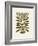 Ne Hundred-Leaved Plant #22 / Lino Print-Alisa Galitsyna-Framed Giclee Print