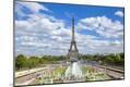 Photographic Print
