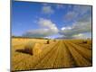 Photographic Print