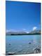 Photographic Print