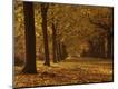Photographic Print