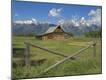 Photographic Print