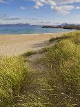 Sand Dunes and Dune Grasses of Mellon Udrigle Beach, Wester Ross, North West Scotland-Neale Clarke-Photographic Print