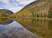 Willey Pond, Crawford Notch State Park, White Mountains, New Hampshire, New England, USA-Neale Clarke-Photographic Print