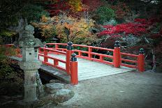 Bridge and Autumn Colours in Miyajima Japan-Neale Cousland-Photographic Print