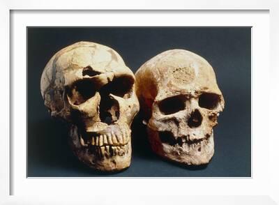 Wo liegt Cro Magnon? Wo liegt Cro Magnon?