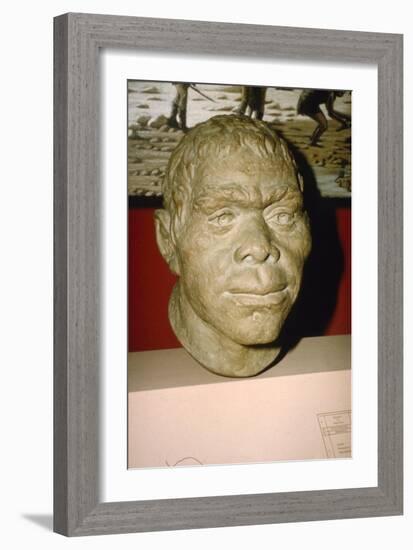 Neanderthal Man. Reconstruction of head, c20th century-Unknown-Framed Giclee Print