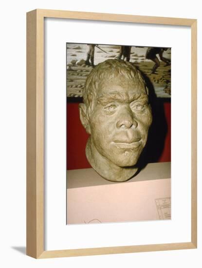 Neanderthal Man. Reconstruction of head, c20th century-Unknown-Framed Giclee Print