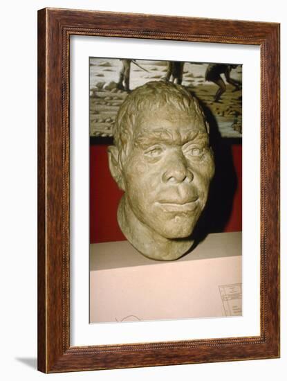 Neanderthal Man. Reconstruction of head, c20th century-Unknown-Framed Giclee Print