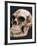 Neanderthal or Neandertal Man - Reconstructed Skull-null-Framed Photographic Print