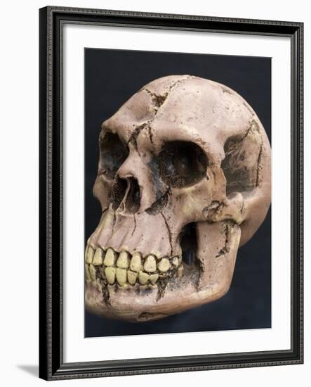 Neanderthal or Neandertal Man - Reconstructed Skull-null-Framed Photographic Print