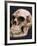 Neanderthal or Neandertal Man - Reconstructed Skull-null-Framed Photographic Print