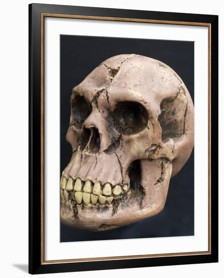 Neanderthal or Neandertal Man - Reconstructed Skull-null-Framed Photographic Print