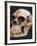 Neanderthal or Neandertal Man - Reconstructed Skull-null-Framed Photographic Print