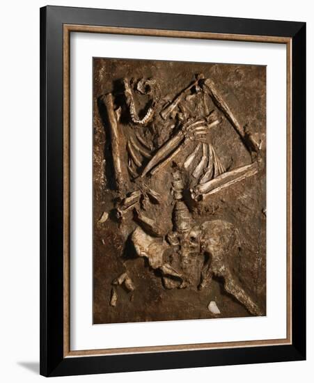 Neanderthal Skeleton, Kebara Cave, Israel-Javier Trueba-Framed Photographic Print