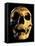 Neanderthal Skull-Javier Trueba-Framed Premier Image Canvas
