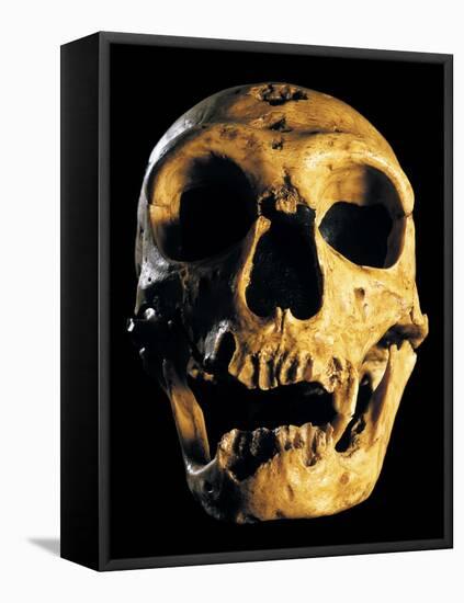 Neanderthal Skull-Javier Trueba-Framed Premier Image Canvas