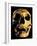 Neanderthal Skull-Javier Trueba-Framed Photographic Print