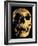 Neanderthal Skull-Javier Trueba-Framed Photographic Print